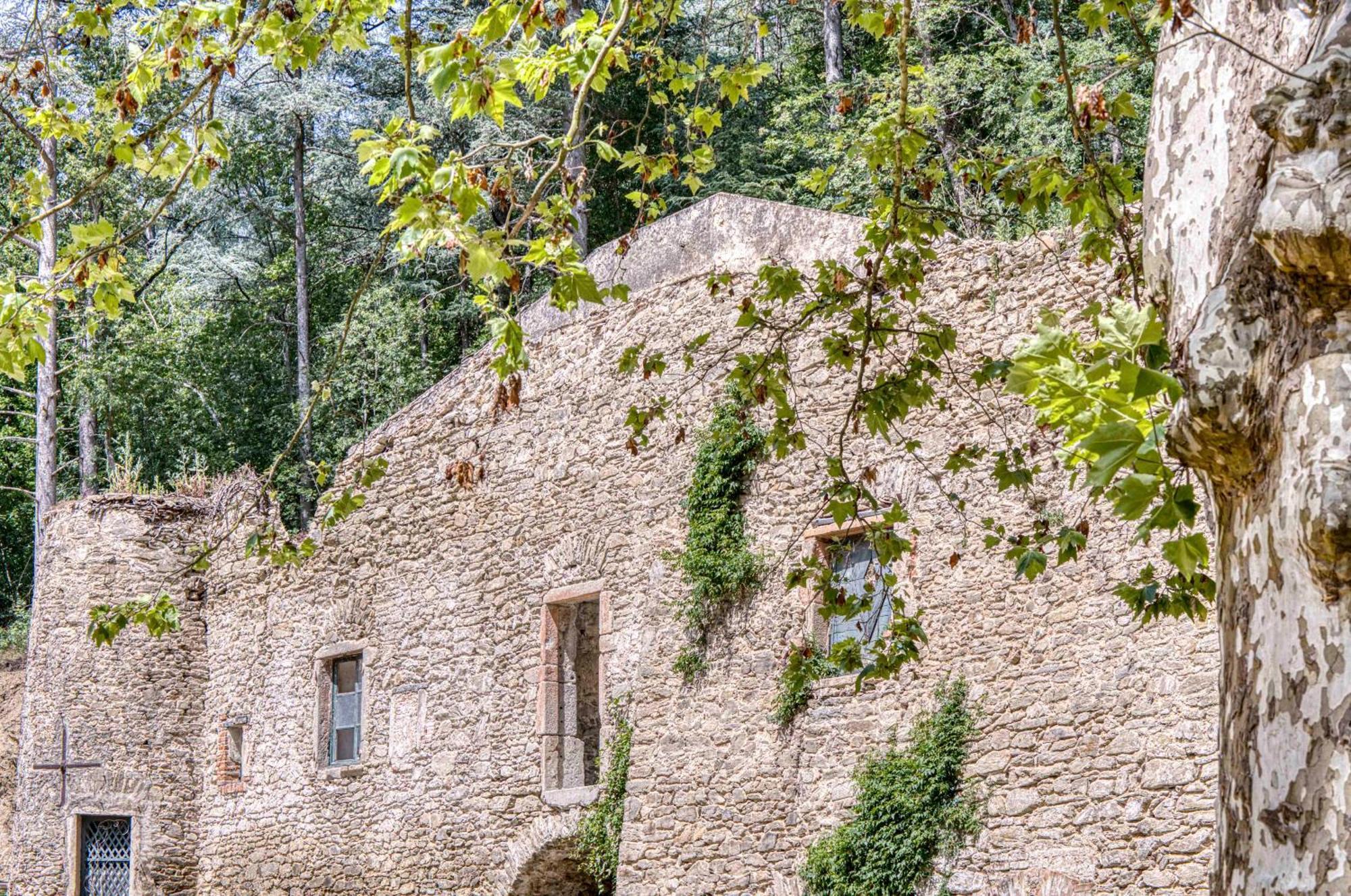 1 - Grand Appartement Spacieux Dans Un Chateau Du 17Eme Siecle, A 15Min De Lyon Vourles Εξωτερικό φωτογραφία