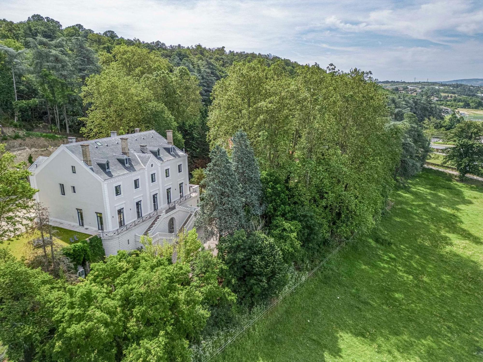 1 - Grand Appartement Spacieux Dans Un Chateau Du 17Eme Siecle, A 15Min De Lyon Vourles Εξωτερικό φωτογραφία